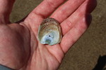 photo thumbnail #11