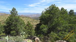 photo thumbnail #11