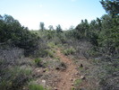 photo thumbnail #9
