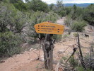 photo thumbnail #15