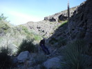photo thumbnail #9