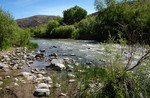 photo thumbnail #3