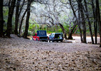 photo thumbnail #13