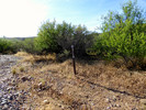 photo thumbnail #7