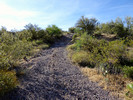 photo thumbnail #8