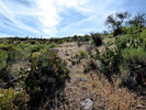 photo thumbnail #11