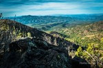 photo thumbnail #7