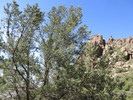 photo thumbnail #2