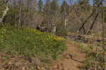 photo thumbnail #5