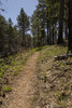 photo thumbnail #14