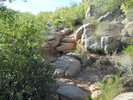 photo thumbnail #3