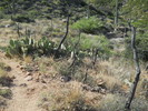 photo thumbnail #5