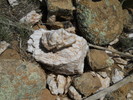 photo thumbnail #11
