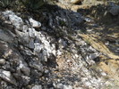 photo thumbnail #12