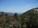 photo thumbnail #13