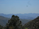 photo thumbnail #14