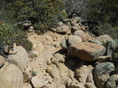 photo thumbnail #15