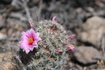 photo thumbnail #10