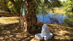 photo thumbnail #4
