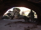 photo thumbnail #7
