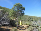 photo thumbnail #4