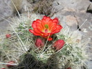 photo thumbnail #11