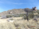 photo thumbnail #3