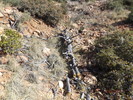 photo thumbnail #8