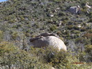 photo thumbnail #12