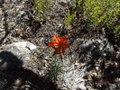 photo thumbnail #15