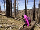photo thumbnail #12