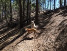photo thumbnail #4