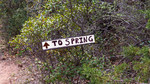 photo thumbnail #11