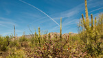 photo thumbnail #12