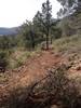 photo thumbnail #1