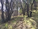 photo thumbnail #1