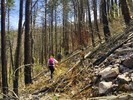 photo thumbnail #5