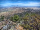 photo thumbnail #3