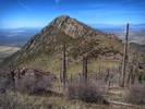 photo thumbnail #6