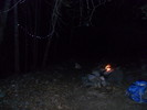 photo thumbnail #4