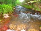photo thumbnail #2