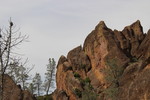 photo thumbnail #12