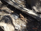 photo thumbnail #10