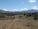 photo thumbnail #13