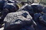 photo thumbnail #6