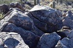 photo thumbnail #7