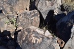 photo thumbnail #13