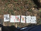 photo thumbnail #14