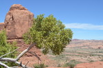 photo thumbnail #13