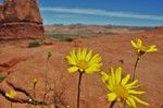 photo thumbnail #15